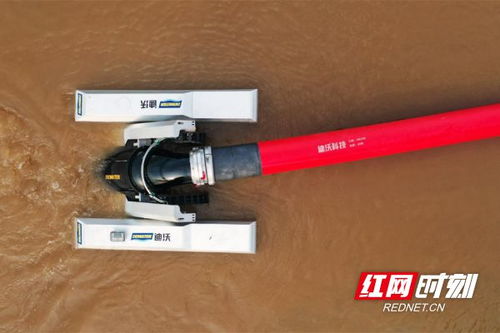 高端化與智能化 迪沃科技為工程機械展增添新活力