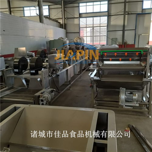 智能化凈菜加工設備 氣泡清洗、風干、速凍一體化解決方案